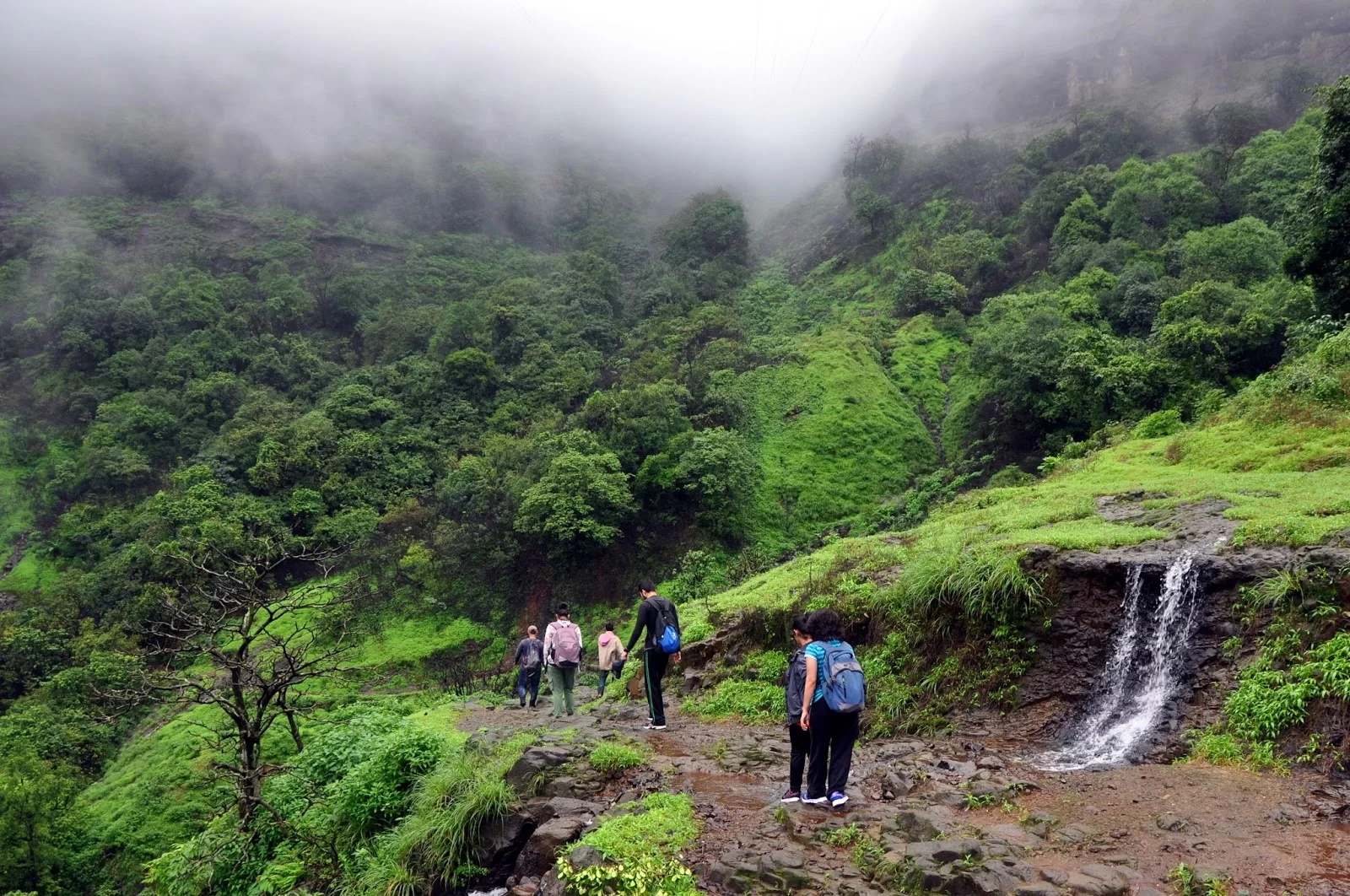 Trekkers crossing a small water stream on the Andharban trail